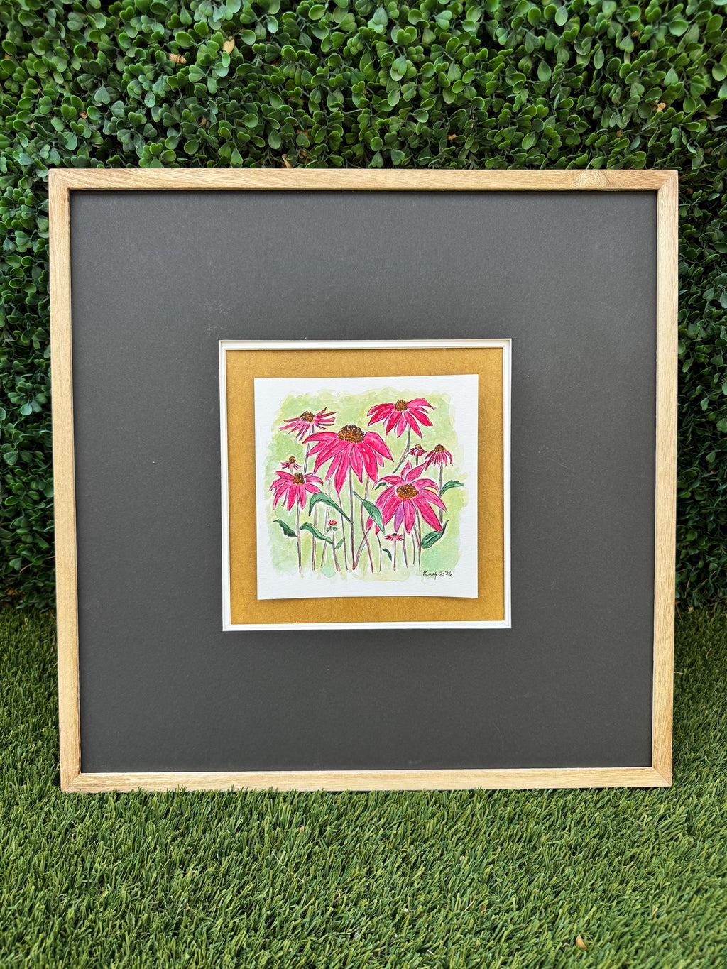 Pink Coneflowers Original Watercolor Painting – 6x6 Floral Garden Wall Art