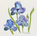 Blue Irises original watercolor painting — blue and purple bearded irises hand-painted on 6x6 cotton paper by Lindy Rosenson