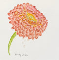 Pink Zinnia original watercolor painting — a pink zinnia in bloom hand-painted on 6x6 cotton paper by Lindy Rosenson