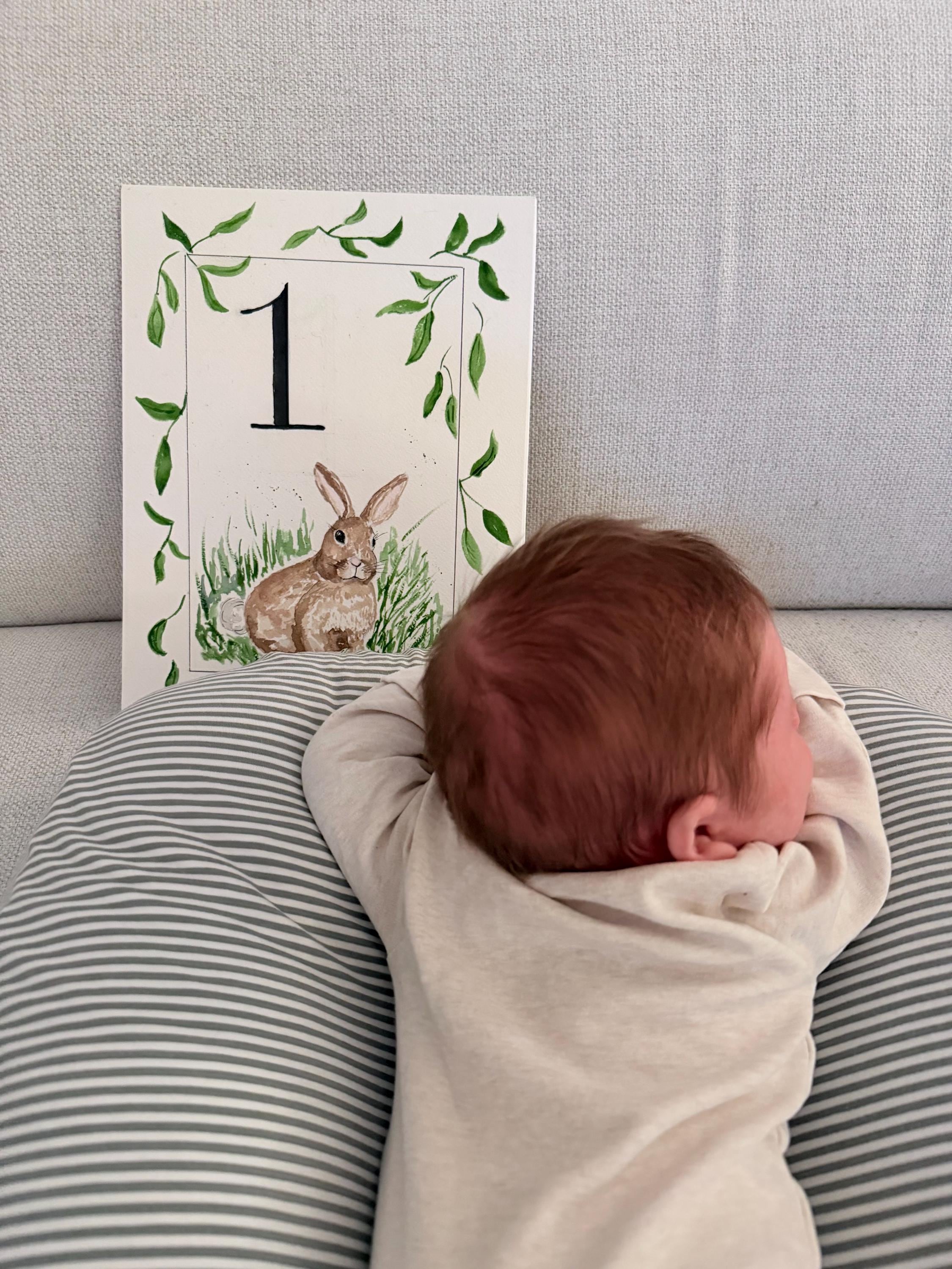 Custom Watercolor Baby Milestone Cards – Set of 12, One Per Month, Personalized Newborn Gift